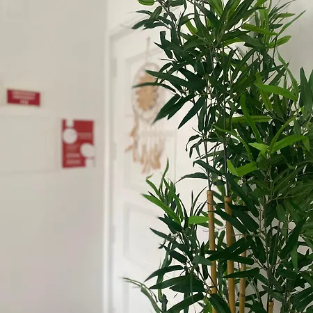 Entre Canais Apartman *